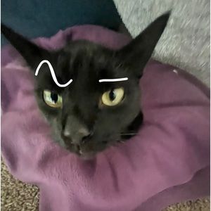 Meet your Posher, Ana luiza